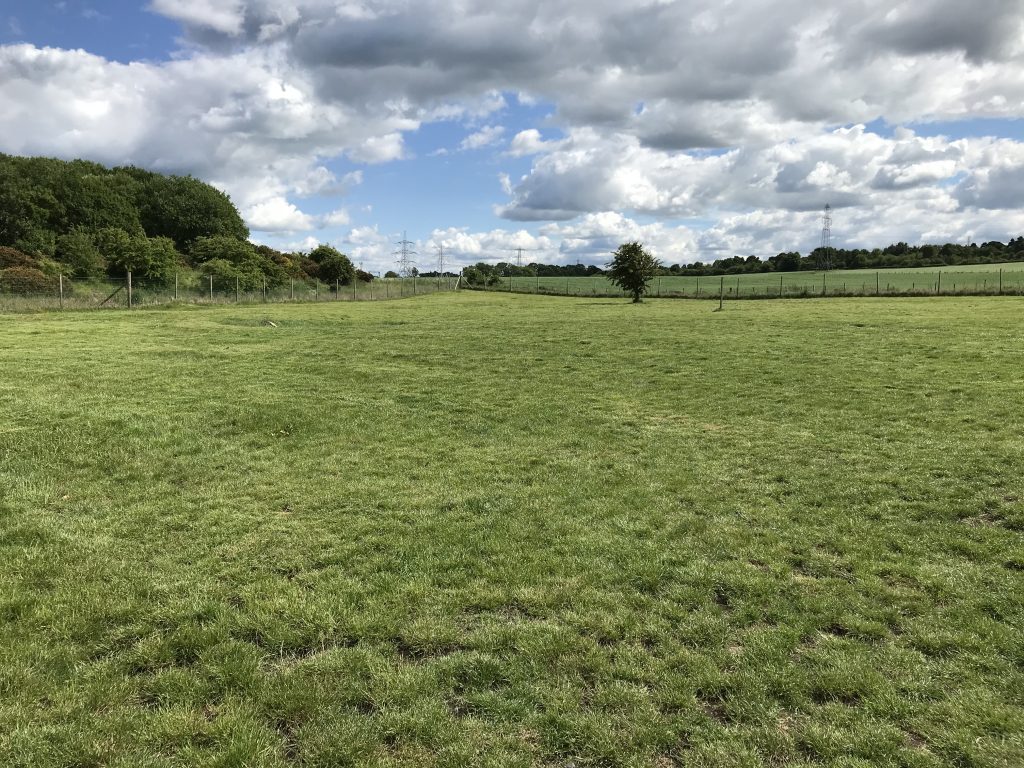 Cambuslang country field