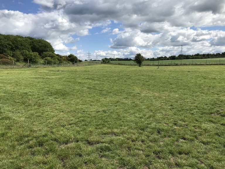 Cambuslang country field