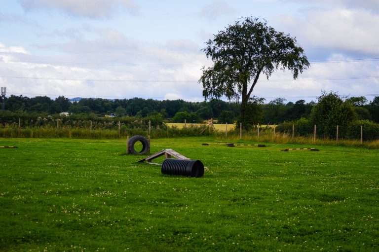 Inchinnan fun field