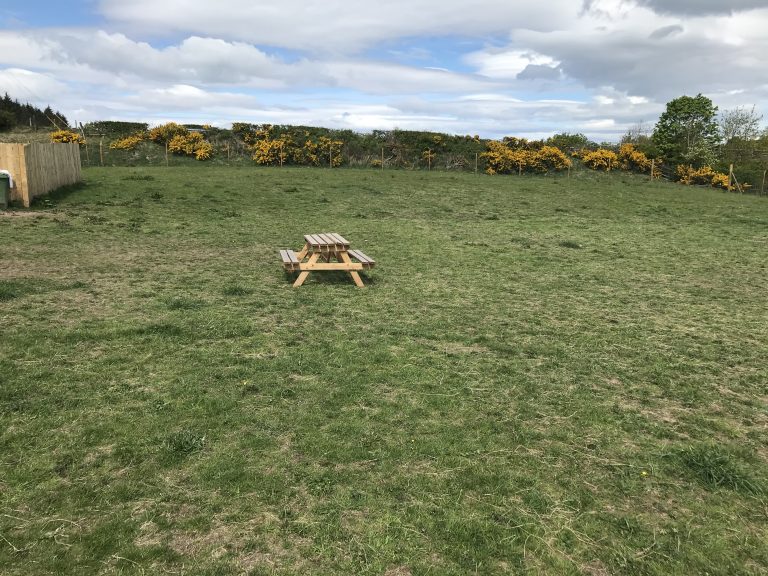 Stirling - Cambusbarron field