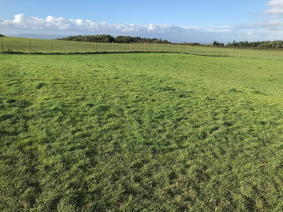 Whitburn Runfree Dog Fields